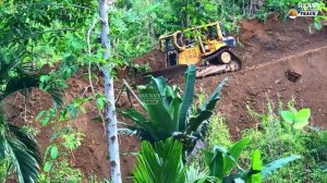 Бульдозер D6R XL прокладывает новую дорогу, срезая склон на краю оврага