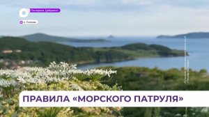 Школьники «Морского патруля» взялись за сохранение природы острова Попова