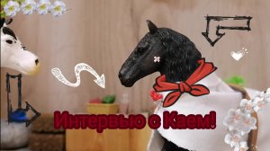 Интервью у Кая?! Лошади шляйх видео.