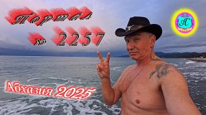 #Абхазия2025🌴 26.12.25г.🔥 Выпуск № 2257❗вчера +12°🌡ночью +7°🌡море +13,5°🐬