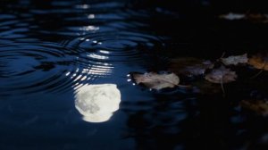 (1916).С. Есенина - Устал я жить в родном краю -Поющий поэт