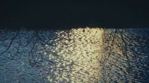 iPhone 15 Pro Max Cinematic Video   4K Apple Log   Boston