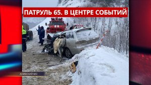 ПАТРУЛЬ 65. Водителя зажало в авто, сгорел цех, брошенные лошади. Происшествия Сахалина 26.12.25