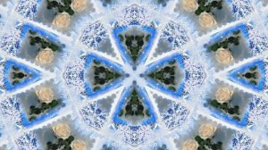 Розы в Зимнюю пору 5 от Киностудии Мудрого Кота Тимофея!