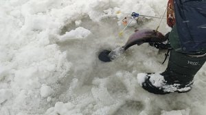 Основной водоём. На резину.