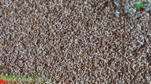 «Экономика 95». Эфир от 26.08.2025