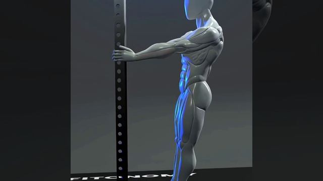 InShot_20251224_182132951.mp4 смотреть онлайн