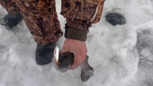 copy_6418A71E-1F10-498E-8DAD-0841A1B4F1DD