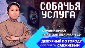 Собачья услуга. Уличный приют пугает жителей Улан-Удэ | ДПГ. Неделя