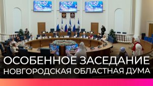 Дети из Новгородской области примерили роли депутатов