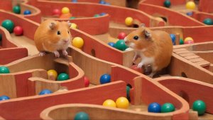 МУЛЬТИКИ ДЛЯ ДЕТЕЙ | МУЛЬТФИЛЬМЫ ДЕТЯМ