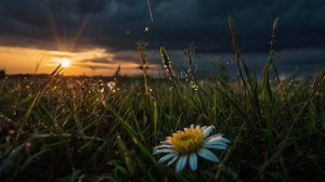 "Спокойная музыка для медитации и безмятежного расслабления".