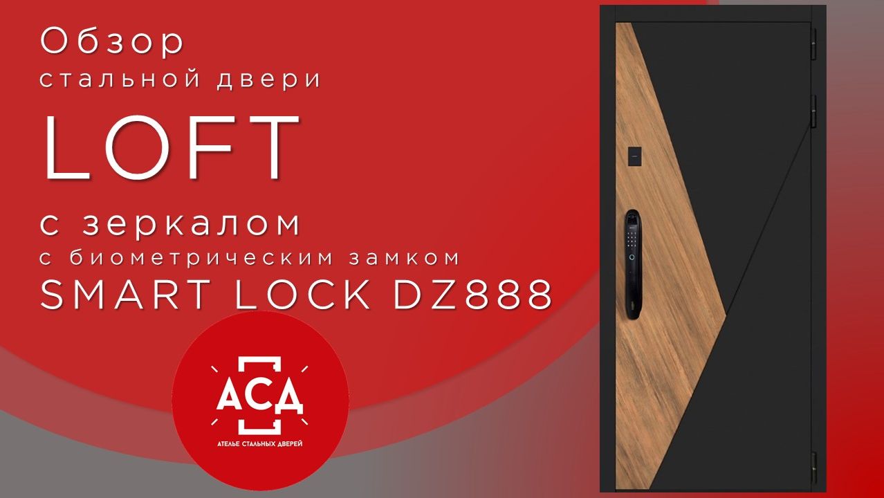 Заказная стальная дверь Loft с зеркалом с биометрическим замком Smart Lock DZ888 смотреть онлайн