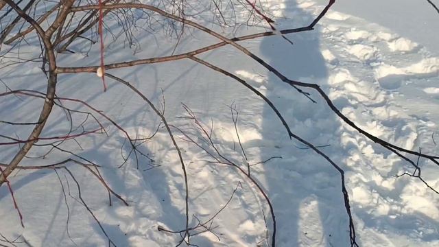 БОГИНЯ МОЯ БОГИНЯ, Я ЖИЗНЬ ЗА ТЕБЯ ОТДАМ ВОТ ТАК НА ОСТРОВЕ. . смотреть онлайн