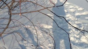 БОГИНЯ МОЯ БОГИНЯ, Я ЖИЗНЬ ЗА ТЕБЯ ОТДАМ ВОТ ТАК НА ОСТРОВЕ. .