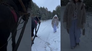 Три белых коня Лобина Елизавета