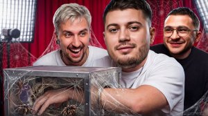 АНАР, МАКС +100500 И ДЖАРАХОВ | КАЖЕТСЯ НАЩУПАЛ