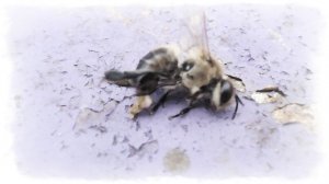 Улёй Олег Юргаев и ИИ