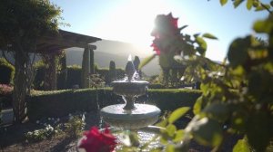 Жить, чтобы созидать