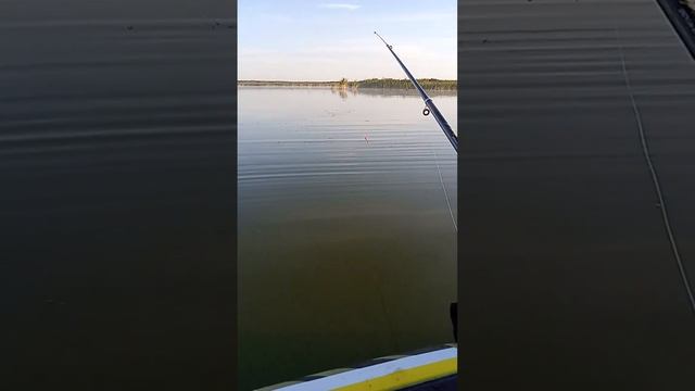 рыбалка на бурсо смотреть онлайн