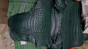 Пассажир из КНР с набитым крокодиловыми шкурами багажом задержан в Шереметьеве