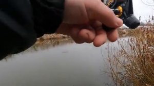 РЫБАЛКА В ДЕКАБРЕ НА ПОПЛАВОК! ДАЖЕ НЕ ОЖИДАЛ ТАКОГО!