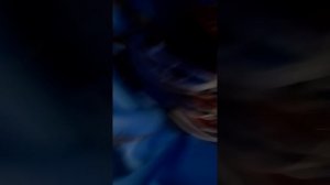 Парусный корабль Сантисима тринидат