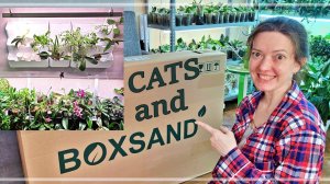 Фитомодули BOXSAND, фитолампы UNIEL и ТАЙМЕР. Что Пошло НЕ ТАК?