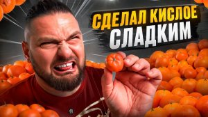 Как превратить КИСЛЫЕ мандарины в СЛАДКИЕ за 10 минут?!