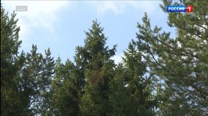 В Сыктывкаре состоится премьера светового этно-шоу «Легенды Севера» на Стефановской площади