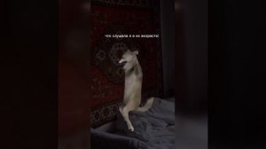 Видео от МЭН - Мне Это Нравится