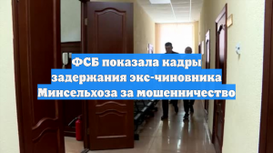 ФСБ показала кадры задержания экс-чиновника Минсельхоза за мошенничество