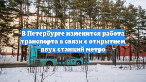 В Петербурге изменится работа транспорта в связи с открытием двух станций метро