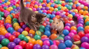 Мультик детям . Мультфильм для детей