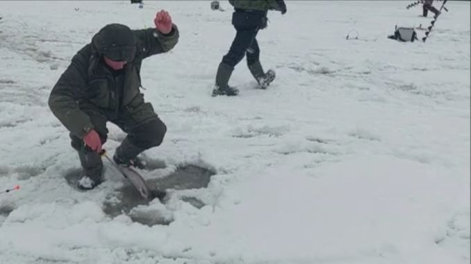 Поимки на актив и пассив. Клёвое место, Лосиный остров, нижний водоём. смотреть онлайн