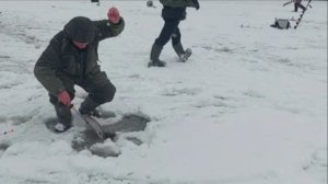 Поимки на актив и пассив. Клёвое место, Лосиный остров, нижний водоём.