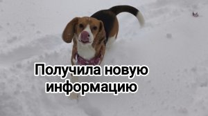 Получила новую информацию