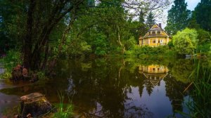 Ивушки  ремикс.