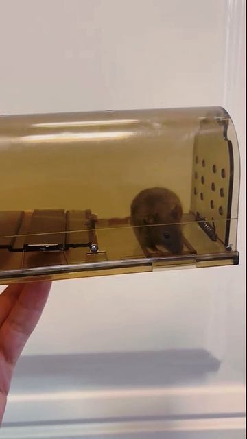 Артикул Я.Маркет - YM10182284 (не забудь при поиске YM) смотреть онлайн