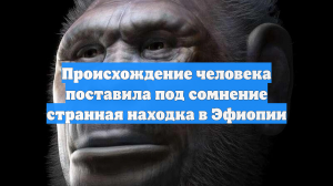 Происхождение человека поставила под сомнение странная находка в Эфиопии