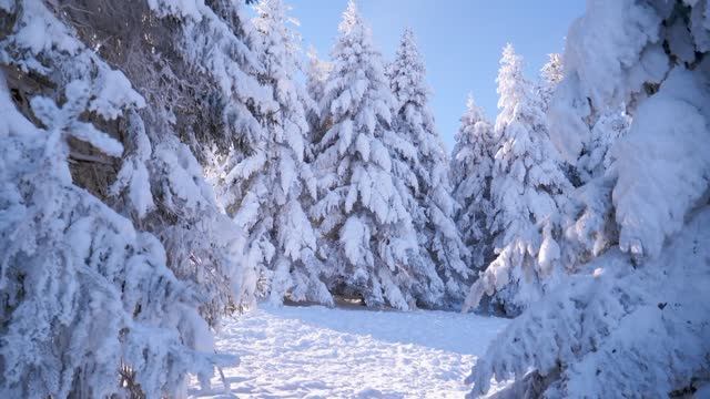 Декабрьский вальс