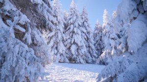 Декабрьский вальс