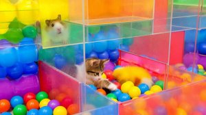 РАЗВЛЕКАТЕЛЬНОЕ ВИДЕО ДЛЯ ДЕТЕЙ