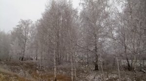 Синний иний в Ступино 21 декабря 2025