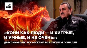«Кони как люди — и хитрые, и умные, и не очень»: Дрессировщик Экк раскрыл все секреты лошадей