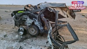 На дороге гололёд, не пугайся жми вперёд! Торопыги и Водятлы