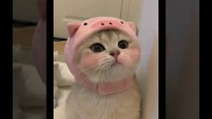 танцуй если знаешь этот тренд (N° 2)