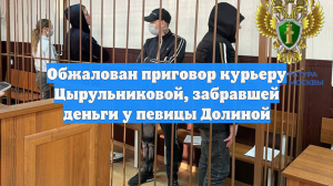 Обжалован приговор курьеру Цырульниковой, забравшей деньги у певицы Долиной