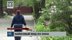 За растущую на подоконнике коноплю выслушал приговор владелец квартиры в Свободном переулке