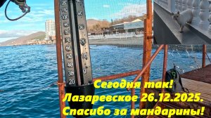 Сегодня так! Спасибо за мандарины! Лазаревское 26.12.2025.